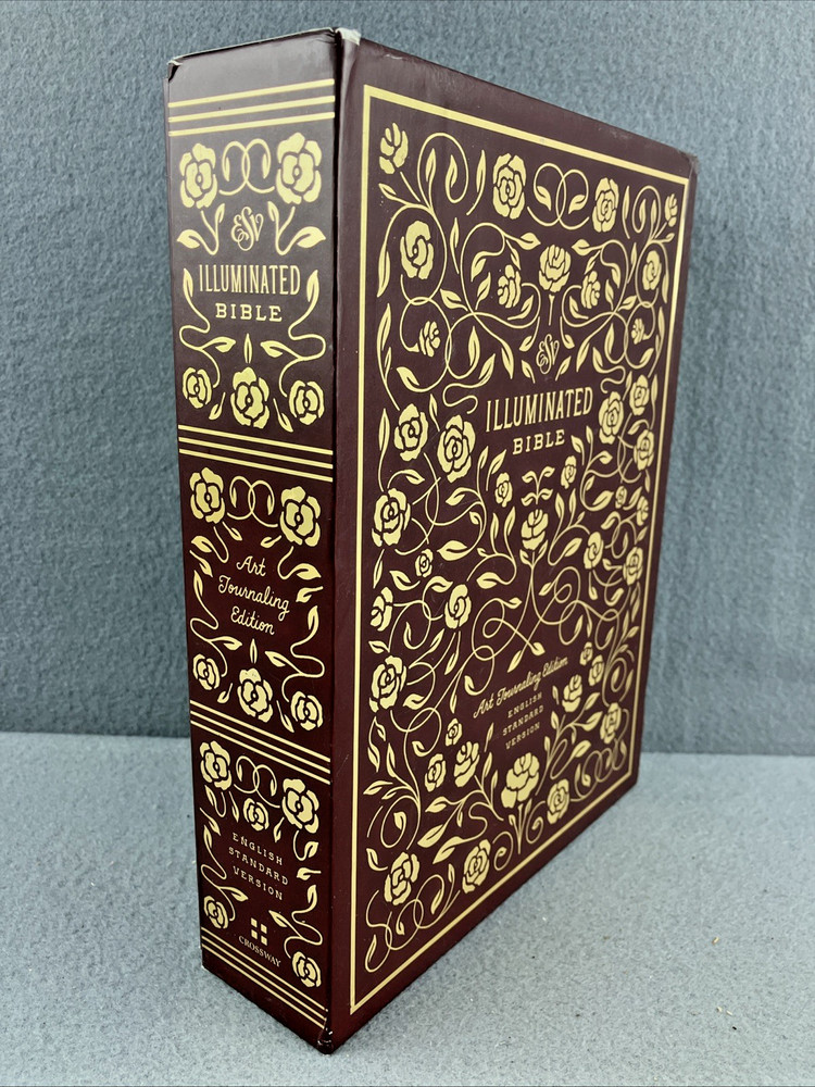 The Daily Grace Co Illuminated ESV Bible Art Journaling Softcover With Box