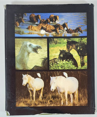 Such Is The Real Nature of Horses by Robert Vavra 1979 HC 340 Color Photos