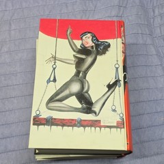 EXOTIQUE – 3 Volume Set w/ Slipcase TASCHEN Betty Page Pin-up Illustrated Books
