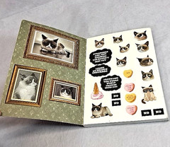 Grumpy Cat Journal w/Stickers 192 Pages Pre Owned Unused