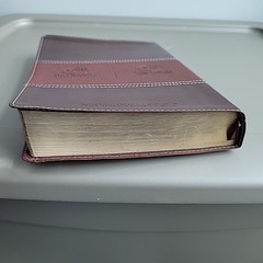 Biblia Reina Valera Revisada RVR Bilingual Bible NKJV Gold Leather NELSON