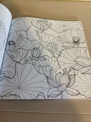 New Seasons Calm Coloring Adult Stress Relief Activity Book