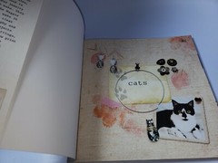 Cats: 20 Jewelry and Accessory Designs (Paperback or Softback)!
