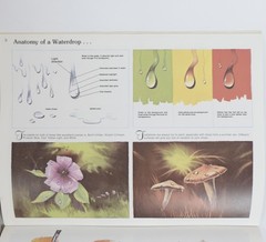 Vintage Walter T. Foster Art Books Acrylic Painting Color Instruction Lot 4
