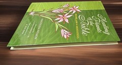 Healing Plants of the Bible HC – History Lore Meditations Spiritual Herbal Guide