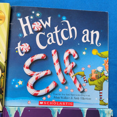 Adam Wallace How To Catch Preschool Kindergarten 1st Grade Picture Book Lot of 7