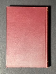 1910s ANTIQUE BOOK 1st Edition HC Democracy CHRISTIANITY social justice GOSPEL