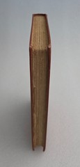 1921 Jack in the Pulpit Arthur G. Staples Hardcover Lewiston Maine Vintage
