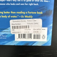 Penguin One Golden Summer by Carley Fortune Paperback Fiction Contemporary Novel