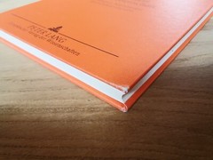 Bewußtsein und Wissenschaft von Kunio Kozu (1999, Gebundene Ausgabe)