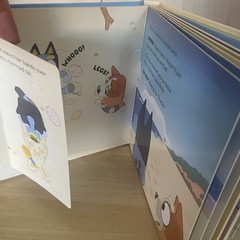 Bluey Board Book The Beach Lift the Flap Book ABC Kids Bingo Chilli Bandit