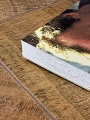 Step- by -Step Knifemaking: You Can Do It! By David Boye. Paperback. 270 pages.