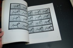 Horses and Other Animals in Motion: 45 Class… by Muybridge, Eadweard Paperback