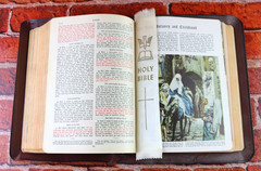 Holy Bible 1950 Catholic Press Rev. John P. O’Connell