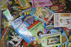 Lot of 30 Children’s Kids Chapter Books Instant Library Variety Bundle