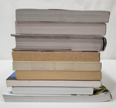 Lysa Terkeurst Books Lot Of 8 Christian Living Theology Bible Study Church Set