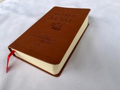 Daily Feast : Meditations from Feasting on the Word (Years A, B and C together)