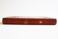 KJV Giant Print Thinline Bible – Durable Brown Cover, Ribbon Marker, 1408 Pages