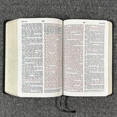 Amazing Facts Prophecy Study Bible NKJV Leathersoft Black Thomas Nelson 2008