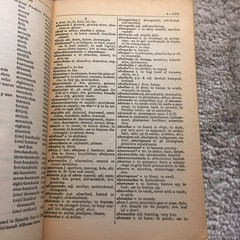 The University of Chicago Spanish-English Dictionary Castillo Bond 1959 Edition