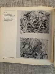 Upper Carboniferous Fossil Flora Nova Scotia Paleobotany Museum Monograph 1980