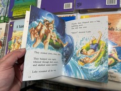 The Wright Group Fluency Lot 14 Sunshine Reader Books Teacher Homeschool