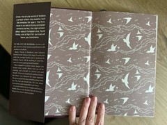 To Cage a Wild Bird by Brooke Fast | Allurial Deluxe Hardcover First Edition