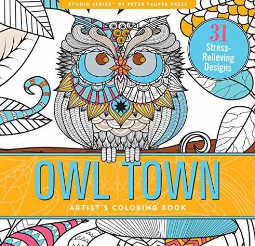 Owl Town: Artist’s Coloring – Paperback, by Peter Pauper Press – Very Good x