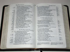 Harper Study Bible RSV Natural Morocco Bonded Leather