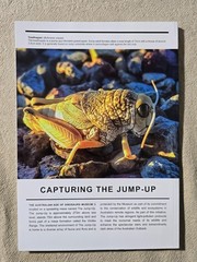 Australian Age Of Dinosaurs Journal – The Snake Creek Tracksite Issue 18