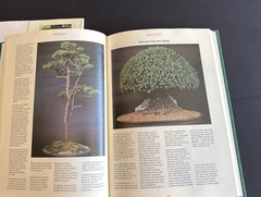 The Bonsai Book (HARD BACK GREEN) Barton, Dan SIGNED/EBURY PRESS, GB 1989