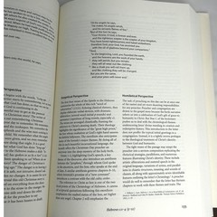 Feasting on the Word Year C Vol 1 Advent–Transfiguration Preaching Resource
