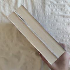 The Neapolitan Novels box set by Elena Ferrante(Europa Editions,trade paperback)