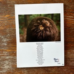 Blue Sky Gallery 2023-24 Paperback Catalog Portland Photography Gallery VG