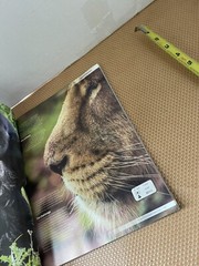 books THE DIGITAL PHOTOGRAPHY MASTERCLASS used non fiction self help