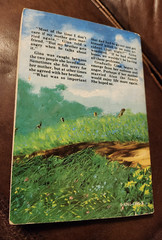 Gina In-Between, by Dorothy Hamilton, PB, 1982, Illustrated, Herald Press