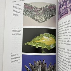 Botany for Gardeners 3rd Edition Brian Capon Paperback 2010