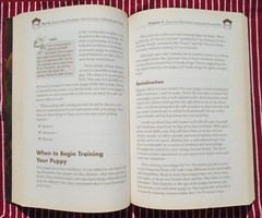 Complete Idiot’s Guide To Puppies by M. A. Gorman PB 296 pages – Good Condition