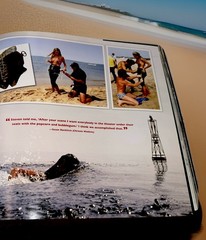Jaws: Memories from Martha’s Vineyard: Big Paperback -by Taylor Matt – 312 Pages