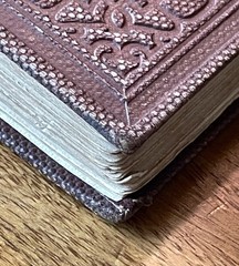 Honey Blossoms for Little Bees 1859 Victorian Decorative Binding Antique 1st Ed