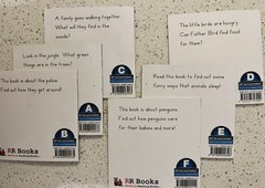 60 RR Books F&P Text Level decodable Leveled (A-F) Readers Lot, Paperback