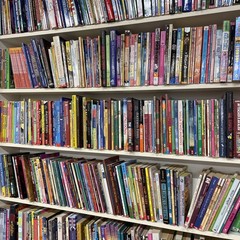 Lot of 25 Children’s Kids Chapter Books – Random – Free Shipping!
