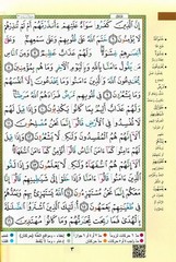 Tajweed Quran – Color Coded – Flexible Cover – Arabic Edition – QR – 4×5.5 in