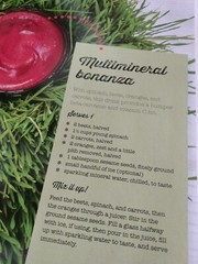 The Juice Bar Kit Juicing For Beginners Health Boosting Book + 14oz Bottle