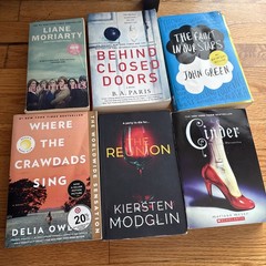 Popular Book Lot