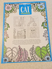 CAT COLORING – 32 Inspiring Designs for Adults -Relax & Enjoy -Escape & Breathe