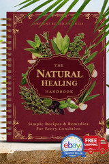 Natural Healing Handbook Herbal Remedies Book DIY Home Cure Wellness Guide NEW