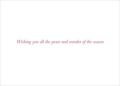 Peter Pauper Press, Inc. Village Twilight Deluxe Boxed Holiday Cards (20 card…