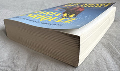 Our Share of Night: A Novel by Mariana Enriquez 2023 Supernatural Horror Hogarth