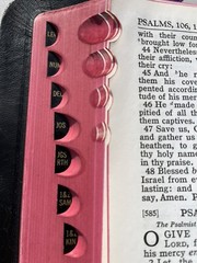 Holy Bible Concordance Red Letter KJV National Bible Press 1944